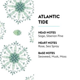 Atlantic Tide | Lampe Berger Fragrance Refill by Maison Berger | for Home Fragrance Oil Diffuser | Purifying and perfuming Your Home | 16.9 Fluid Ounces - 500 milliliters | Made in France