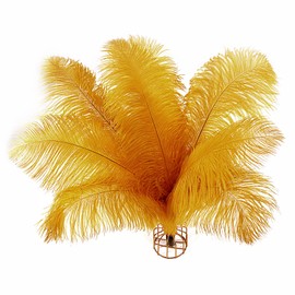 iHUFeather 20pcs Gold Ostrich Feathers Natural Bulk 10-12Inch 25-30cm for Wedding Party Centerpieces Easter and Home Decorate Ostrich Feathers