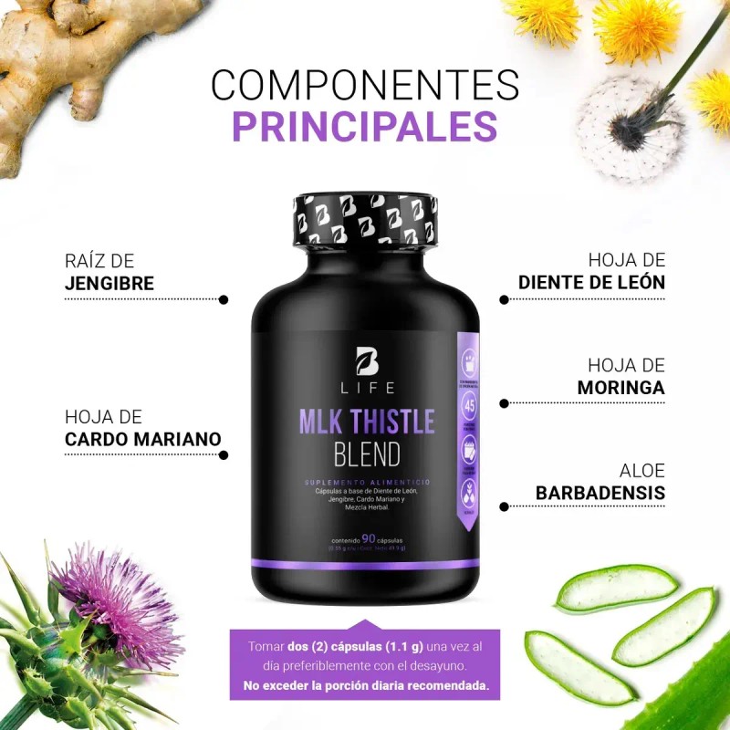 Cardo Mariano Cáps Milk Thistle Diente León Life