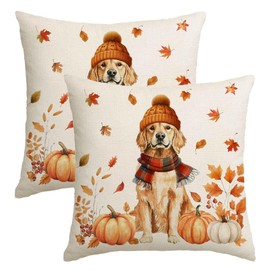 NUTEEN Fall Pillow Covers 18x18 Inch Set of 2 Golden Retriever Autumn Decorations for Home Outdoor Thanksgiving Pumpkin Decor Decorative Throw Pillow Cases for Couch