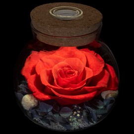 roliys Preserved Real Roses with Colorful Mood Light Wishing Bottle, Eternal Rose，Never Withered Flowers, Table Decor,Christmas Anniversary Valentine's, Red 4.3inch, 1pcs