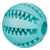 Trixie Denta Fun Natural Rubber Mint Flavour Baseball, 6 cm,