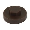 TIMCO 1608B29CAP Hex Cover Cap-Vandyke Brown-Box of 1000, 5/16" x16mm,