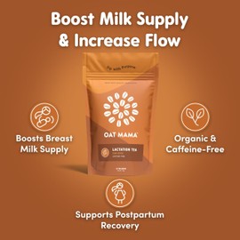 Oat Mama Lactation Tea for Breastfeeding Moms - Chai Spice | Breastfeeding Essentials for Milk Supply Increase | Organic Lactation Support & Postpartum Recovery