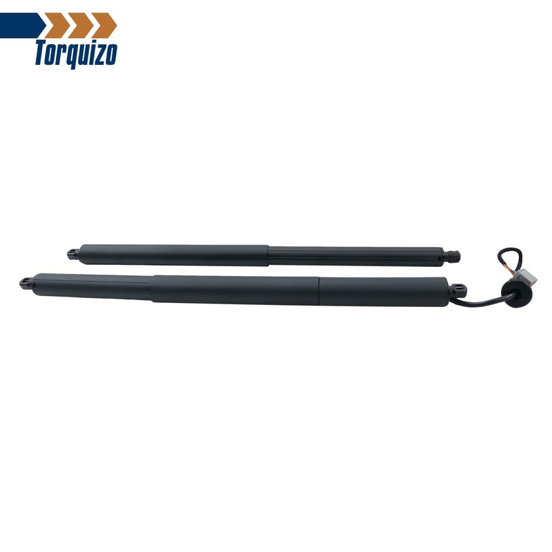 Torquizo 2Pcs Rear Left Right Tailgate Power Lift Support for