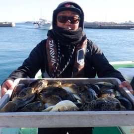 (Supervised by Fisherman) Fugumoto Katsu, Fish Attracting Agent, Powder, High Concentration Amino Acid Blend, Bait, Goat, Argentina Red Shrimp, Ise Bay Fug Fishing