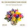 Hizashi E12 Candelabra Light Bulbs 40 Watt Equivalent, E12 LED