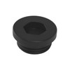 Aolemi Outdoor Shower Valve Body Plug replacement Matte Black
