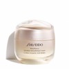 Shiseido - Benefiance Neura Day Cream 30 ml