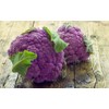 NIKA SEEDS - Seeds Vegetable Cauliflower Purple Cabbage - 100