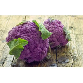 NIKA SEEDS - Seeds Vegetable Cauliflower Purple Cabbage - 100 Seeds