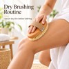 Natural Boar Bristle Body Brush – Wooden Bamboo Dry &