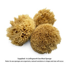 Natural Sea Wool Art Sponge: Premium Professional Grade 5"-6" Unbleached, Excellent for Painting, Decorating, Texturing, Sponging, Marbling Effects, Faux Finishes, Crafts & More by Lullingworth®