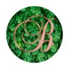 B Pink Clover Shamrock 4 Leaf Plant Initial Monogram Letter