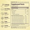 Daily Mushroom Gummies for Brain Health Support, 20 ct