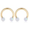 PEAKLINK Horseshoe Nose Ring Titanium Septum Jewelry 16G Horseshoe Lip