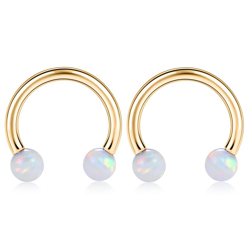 PEAKLINK Horseshoe Nose Ring Titanium Septum Jewelry 16G Horseshoe Lip