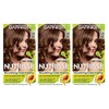 Garnier Nutrisse Nourishing Color Creme Light Natural Brown [60] 1