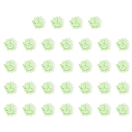 CoCud Mini Resin Flower, 0.51" Diameter, Miniature Tiny Luminous Flower Charm Dollhouse Green - (Applications: for Nail Art, Fairy Garden Dollhouse DIY Crafts), 32-Pieces