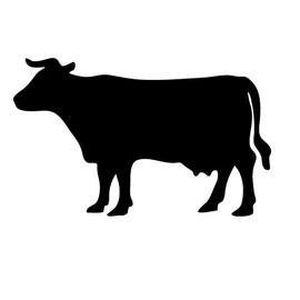 Cow Chalkboard Wall Decal - 17" tall x 27.5" wide