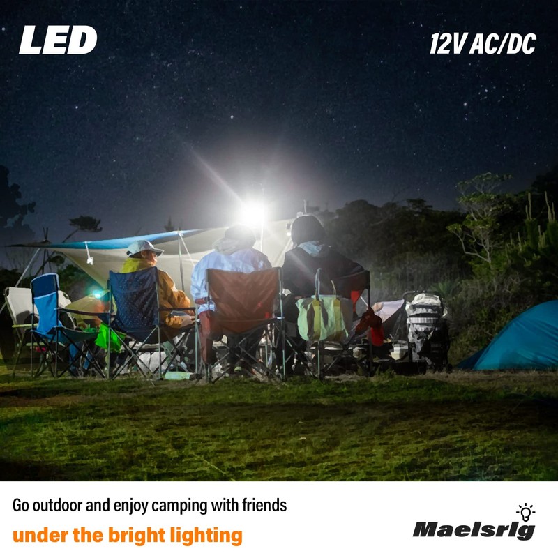 LED 12V Light Bulb, 100W Equivalent, Daylight White 5000K, 13W