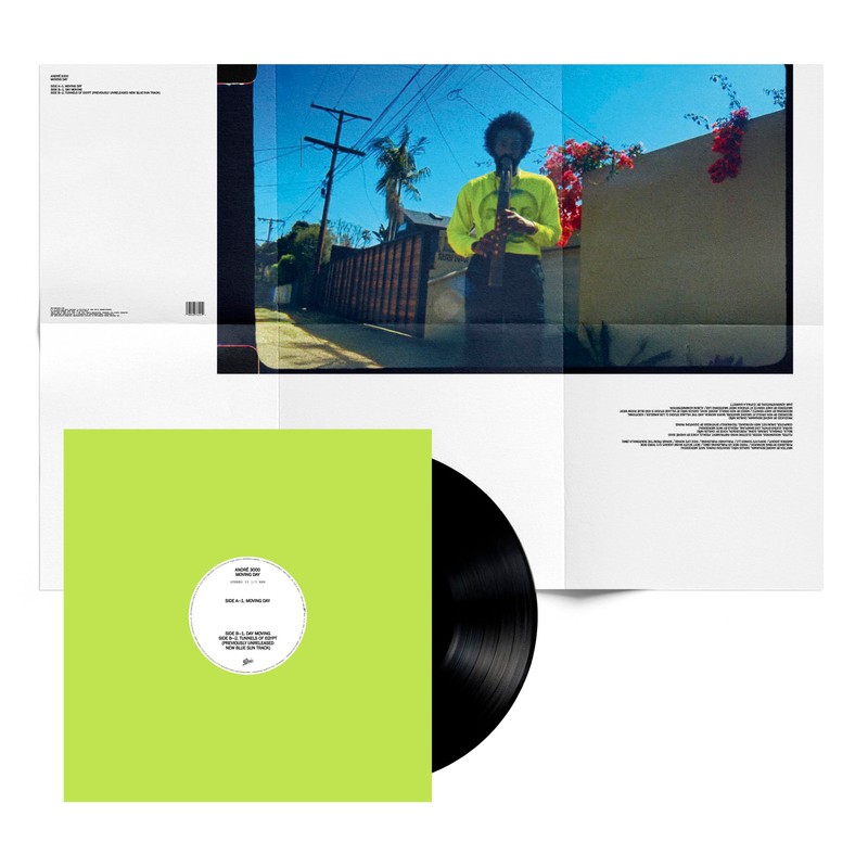 Moving Day [Vinyl LP]