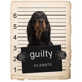 Gordon Setter Dog Mugshot Bad Dog Car Bumper Magnet, Magnetic for Refrigerator, Decorative Fridge, Office, Whiteboard, Kitchen, Locker Waterproof Decor, Family & Friends, 4x7 in