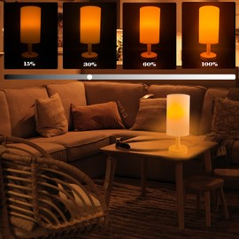 Nowlaby Wireless Bedside Table Lamp with 2Pcs E26 Rechargeable Battery Bulb, Remote Control, Dimmable, Timer, Cylindrical Light for Living Room, Bedrooms, Reading, Night Lighting