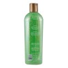 Shampoo Huichol Artesanal De Sabila Anticaida Original
