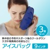 ENN LLC Ice Bags Icing Sandbags Heat Stroke Prevention Cooling