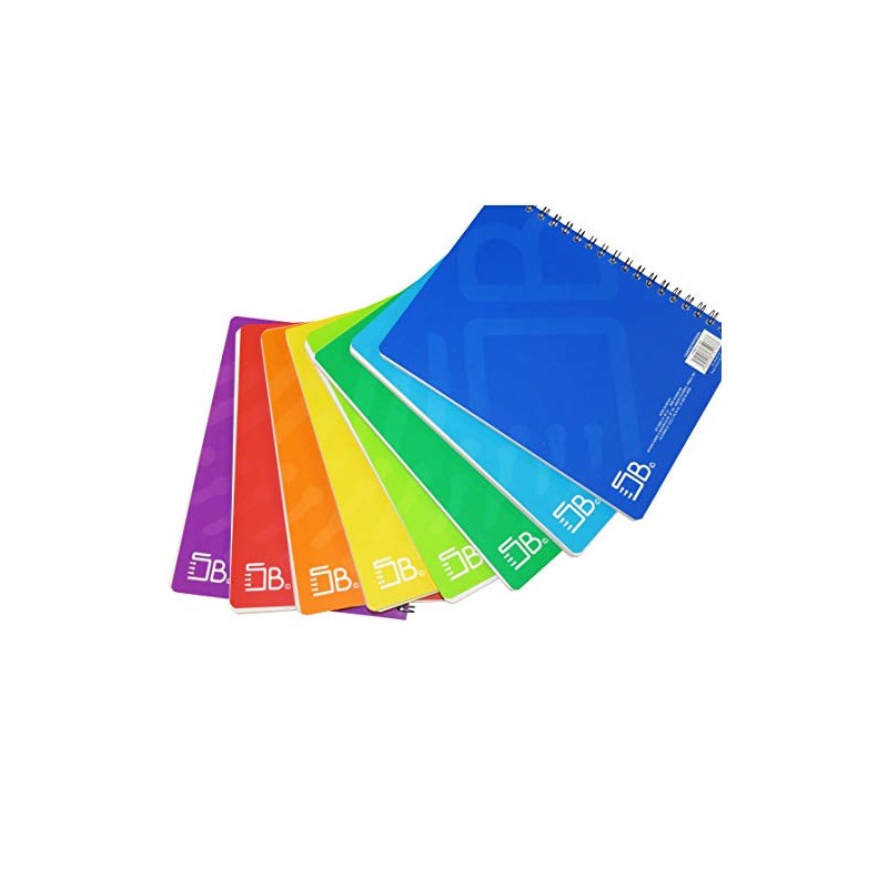 SKY BOOK PROFESIONAL COLORS ESCOLAR 100HJS 8PZ RAYA
