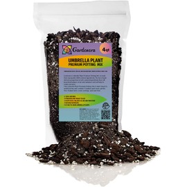 Gardenera Umbrella Plant Premium Potting Mix - Experience The Difference of Hand-Mixed Quality and Natural Ingredients - 4 Quart