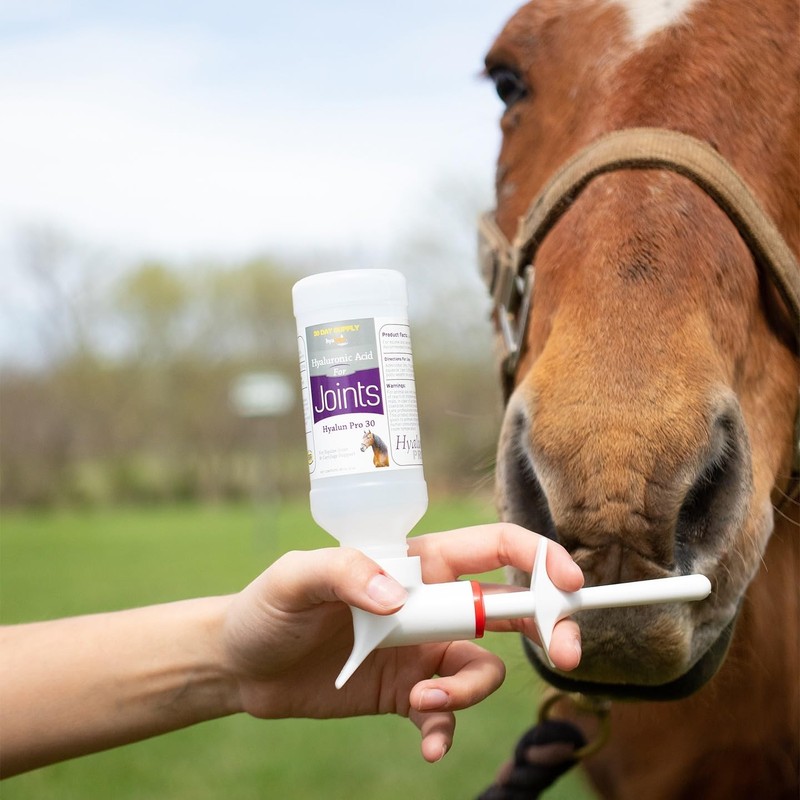 Hyalogic Hyaluronic Acid for Horses 90 Day Supply - 9oz