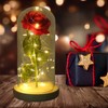 Rose in Glass Dome Lucky Beautiful Symbolism Romantic Enchanted Rose