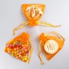Lautechco 100Pcs Organza Bags 3x4 inches Orange Organza Gift Bags