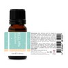 ECO. Modern Essentials Little Study Time Essential Oil Blend, Blend