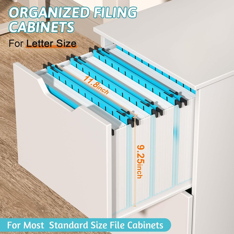 Nordun Plastic Hanging File Folder Extra Capacity,12 Pack Reinforced Hang