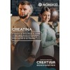 Nórdico® Creatina Monohidratada – 450 g (90 Porciones) – Alta