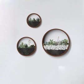 VEVLU 3 Pack Set Wall Planters,Modern Round Glass Wall Planter Succulent Planter Circle Iron Hanging Planter Vase for Herb,Small Cactus Perfect for Balcony, Room and Patio Decor (Coffee)