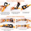 3 Point Ratchet Y Strap for UTV, ATV, Truck Bed