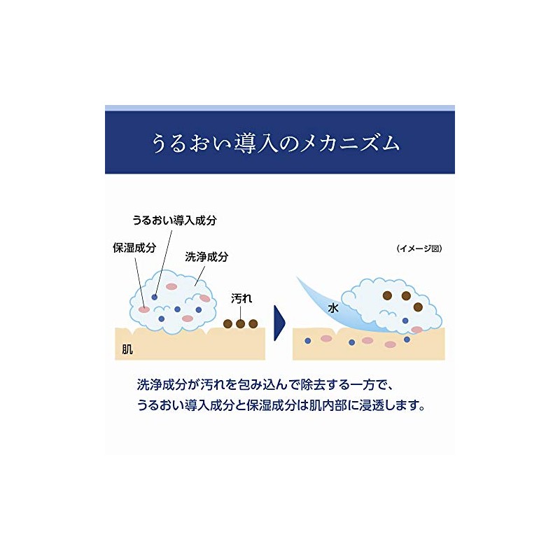 Senka Speedy Perfect Whip - Moist Touch