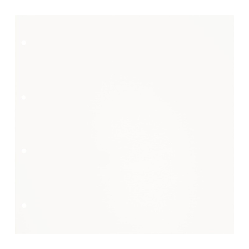 VBS 10 Large Ring Binder Inserts 32.5 x 32.5 cm
