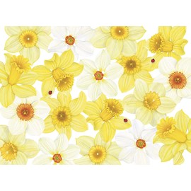 Caspari 5 Greeting Cards Notelets Blank & envelopes - Easter cards - DAFFODILS & LADYBUGS- 10 x 15 cm closed