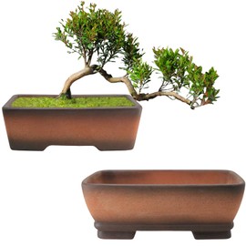 MUZHI 2 Pack Handmade Color Gradational Terracotta Bonsai Pot 6 Inch and 7 Inch with Drip Tray, Breathable Unglazed Rectangle Ceramic Planter for Tree Succulent Cactus