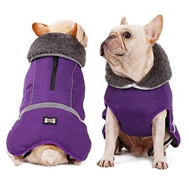 Abrigos para Perros en climas fríos para Perros pequeños, medianos y Grandes Actividades al Aire Libre en Interiores: Chaquetas de Invierno abrigadas para Perros Chaquetas Impermeables a Prueba de v