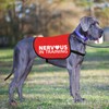 Nervous In Training Dog Jacket Vest Nervous Dog Training Alert