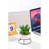 AMOYINC 3 Packs Artificial Plants & Greenery with Ceramic Planters,