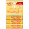 Burt's Bees Moisturizing Lip Balm for Dry Chapped Lips, Holiday