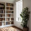 CHICOLOGY Zebra Blinds , Roller Window Shades , Blinds for
