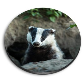 1 x Round MDF Magnet - Badger Sett Wildlife Animal 15810